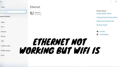 Ethernet not working but WiFi is