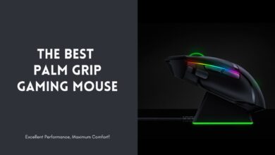 Best Palm Grip Gaming Mouse